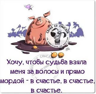 картинки со смыслом с надписями смешные: 2 тыс изображений найдено в Яндекс  Картинках