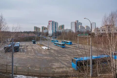 Сниму квартиру в бирюлево восточное москва