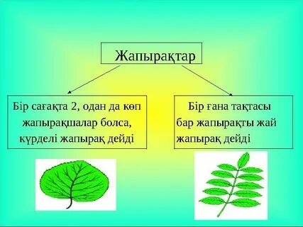 Жалаңаш киска порносы бар әйел