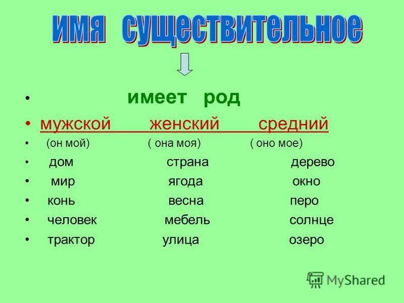 Тесты мужского рода