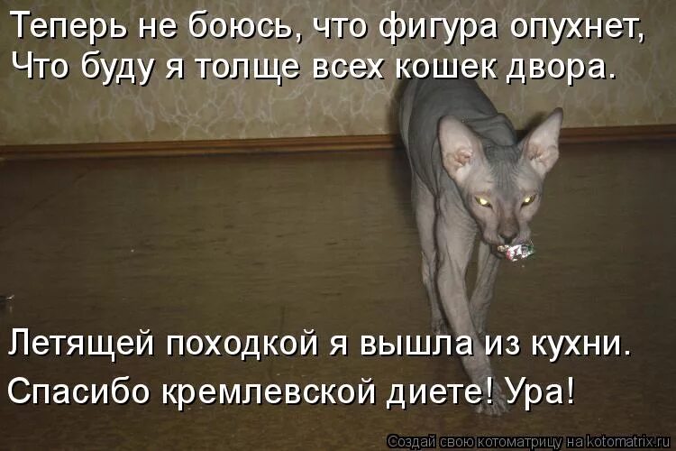 Ну что летящей походкой выходим из мая картинки с надписями. Литяший паходкрй я вышла за влдкуой. Летящей походкой ты вышла из мая текст. Летящей походкой ты вышла из мая текст. Летящей походкой ты вышла из мая текст.