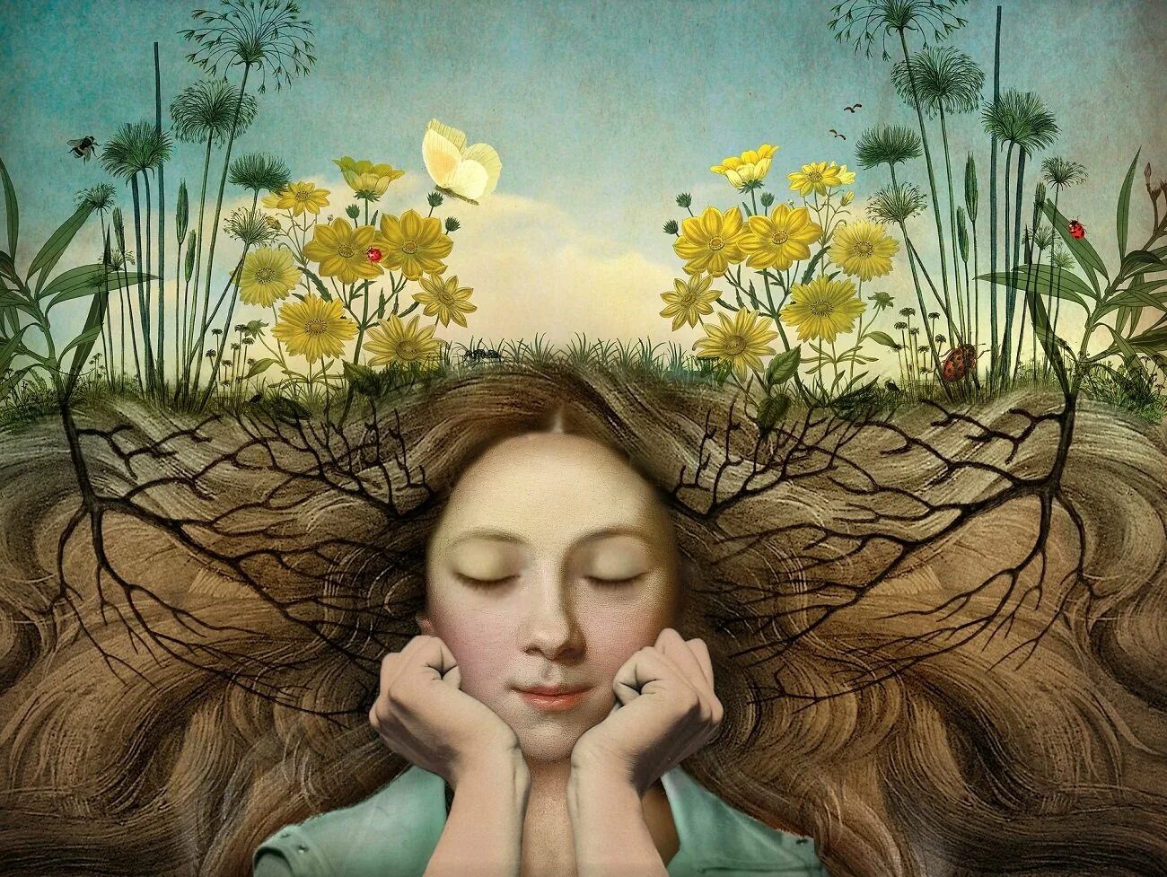 Художник Catrin Welz-Stein. Спокойствие живопись. Сюрреализм цветы. Необыкновенным рассказчиком