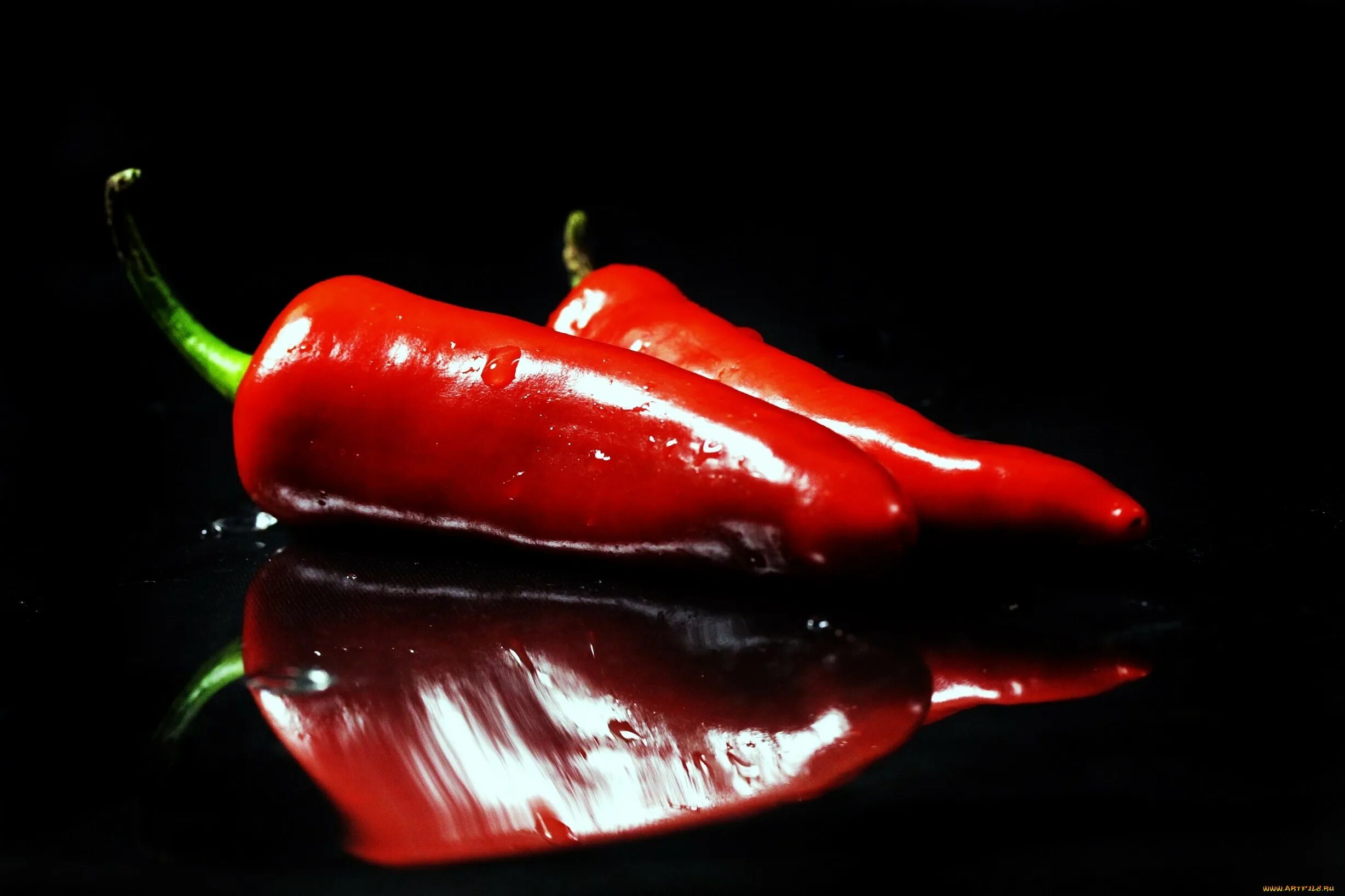 Перец чили акварель. Перец чили vs халапеньо. Картина перцы. Картина маслом перчики. Крутой перчик.