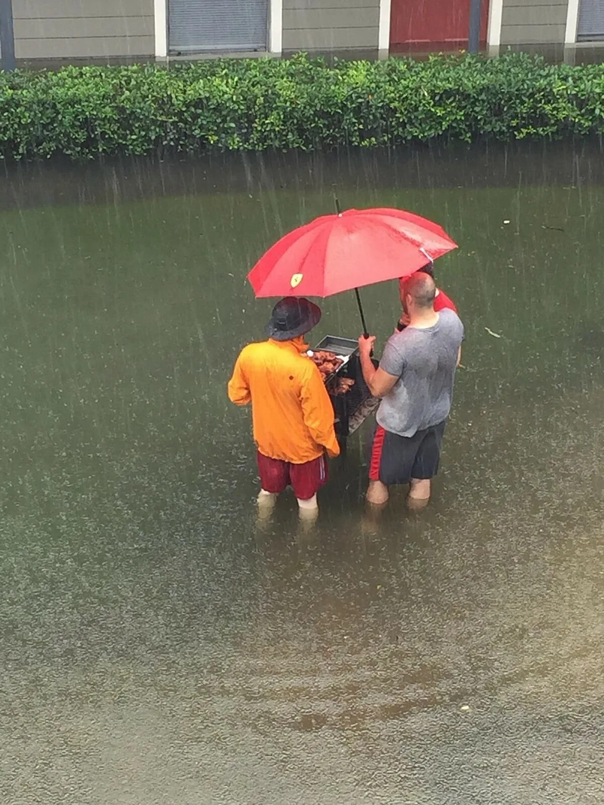 дождь шутки. шутки про дождливую погоду. приколы про дождь. дождь шутки. смешные шутки про дождь.