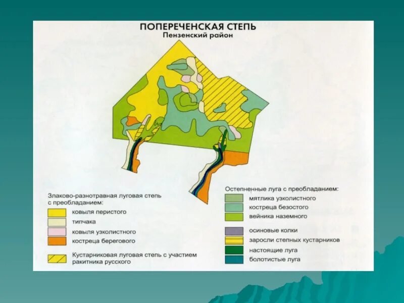 Заповедник Приволжская лесостепь Пенза. Заповедник Приволжская лесостепь в Пензенской области на карте. Приволжская лесостепь заповедник. Эмблема заповедника Приволжская лесостепь.