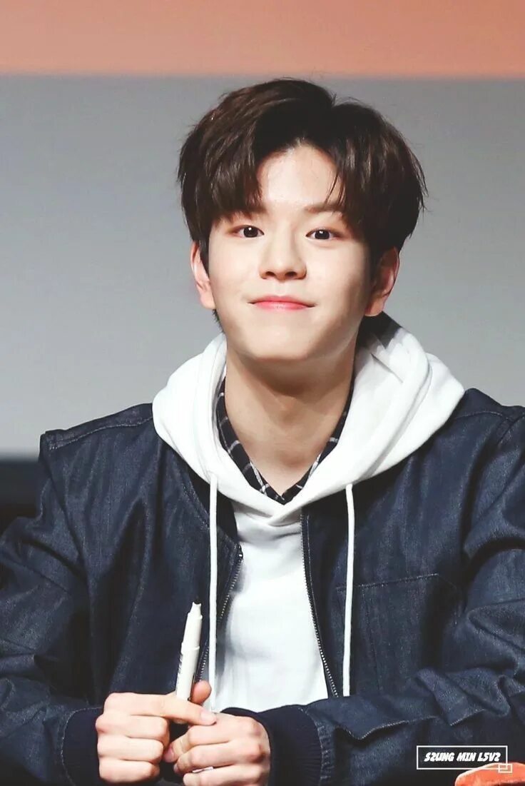 Сынмин из stray. Stray kids сынмин. сын мин stray kids.