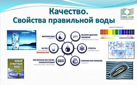 Коралловый клуб красноярск