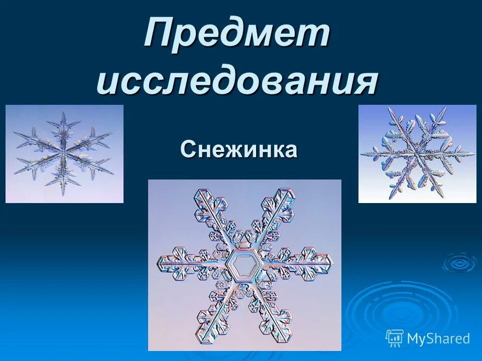 Изложение первый снег. Смешные снежинки. Снежинки для презентации. Соченение на тему «первый сеег. Снежинки учеников.
