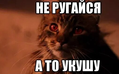 Люблю свою лучшую подругу не путю