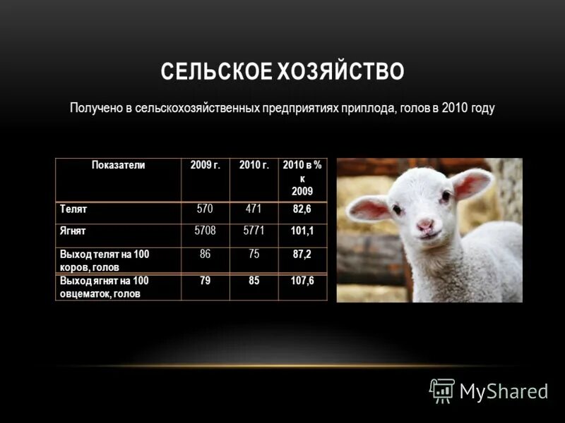 выход телят на 100 коров формула