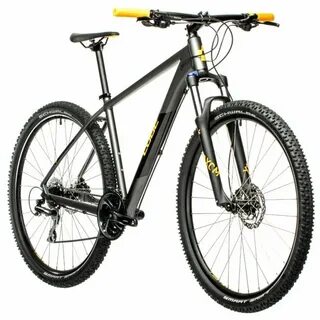 Gim29