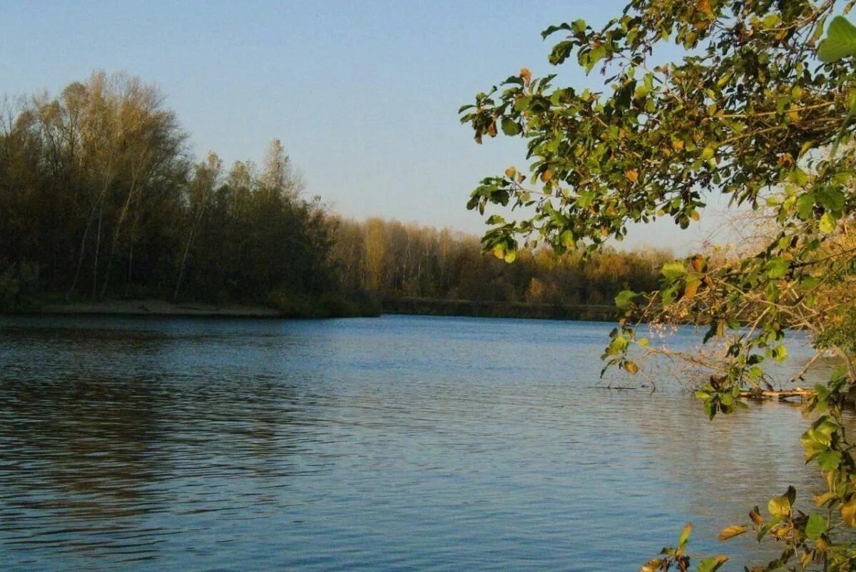 Река татьянка самара. Река татьянка самара. Татьянка новокуйбышевск река. Река татьянка самарская область. Река татьянка самара.