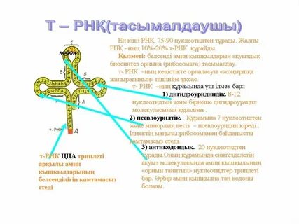 Бірінші адамнан әдемі қызбен жыныстық қатынас (HD x арт)