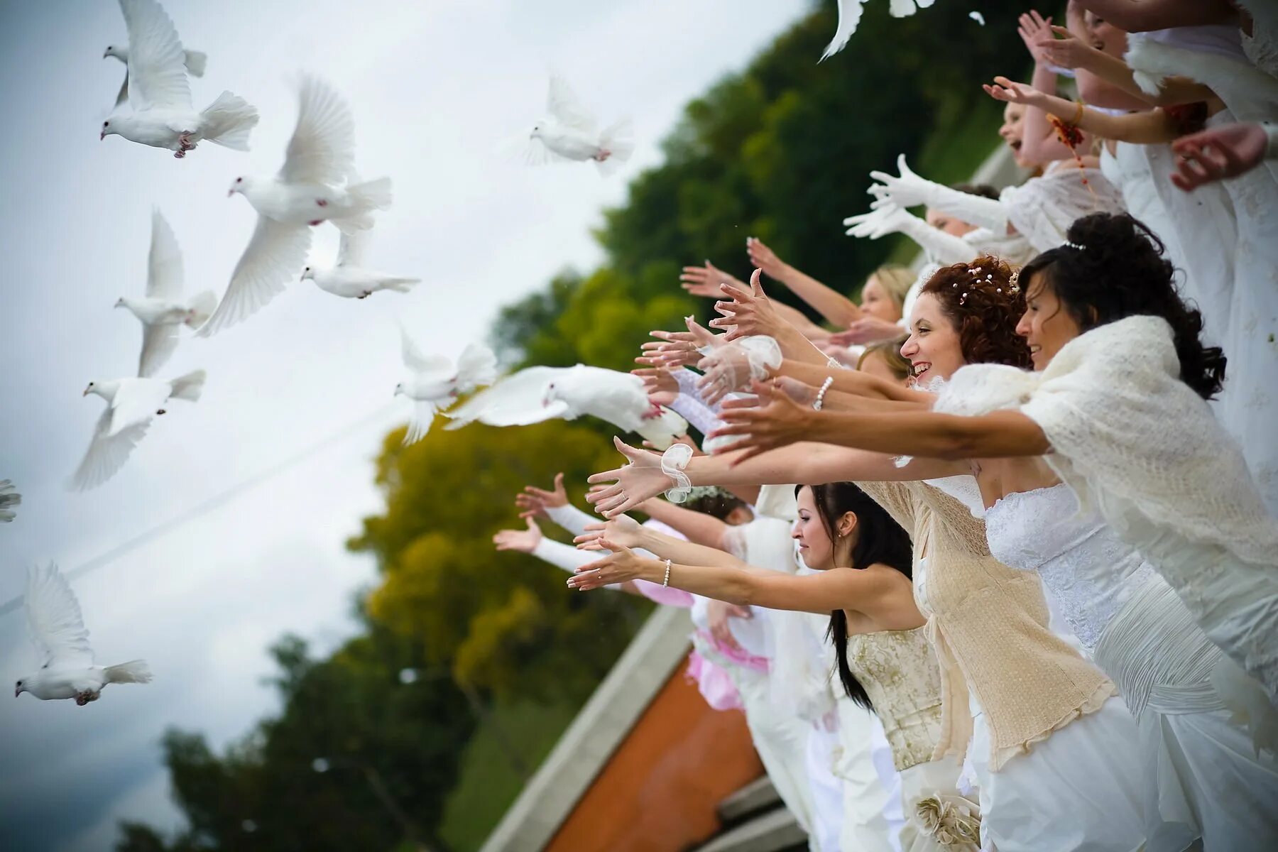 Сонник быть на свадьбе. Молодожены и голуби. Голуби на свадьбу. Свадебные голуби в небе. Молодожены выпускают голубей.