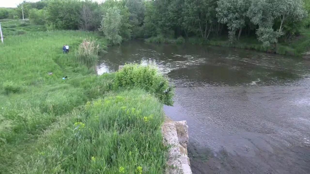 Река Крепна в Коренево Курской области. Коренево пруд Курская. Реки Кореневский район. Рыбхоз Сеймский Курская обл Кореневский р-н. Каучук курской области