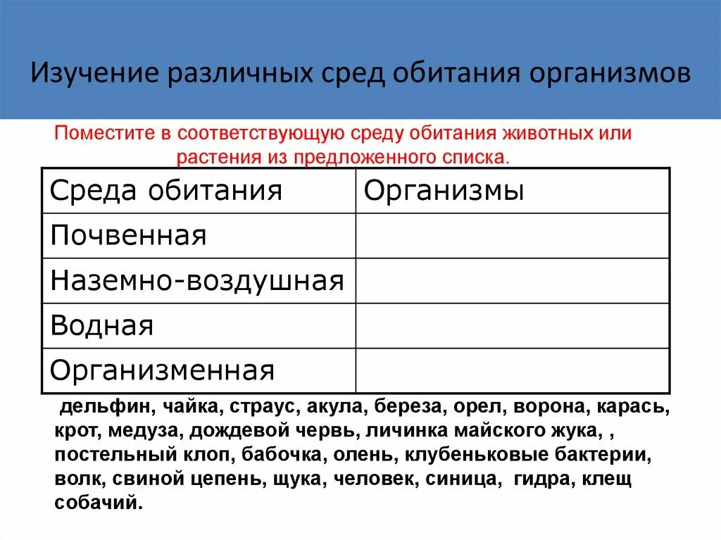 Среды обитания организмов. Территория обитания организмов. Территория обитания организмов. Территория обитания организмов. Территория обитания организмов.