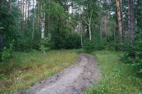 Впереди река