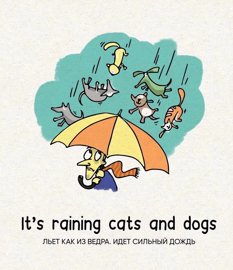 It s hot it s raining. Идиомы raining Cats and Dogs. Идиомы на английском. Rain Cats and Dogs идиома. Идиомы it's raining Cats and Dogs.