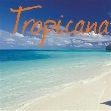 Тропикана турфирма. Тропикана логотип новый. Турагентство тропикана курган. Тропикана женщина надпись. Круглое лето турфирма.