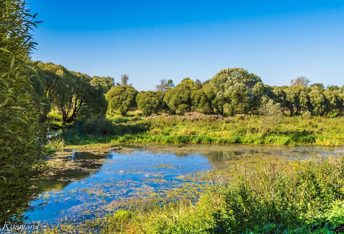 речка вязьма. река вязьма тверская. вязьма (приток днепра). исток реки вязьма. вязьма (приток днепра).