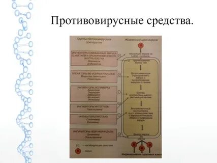 Реклама противовирусных препаратов
