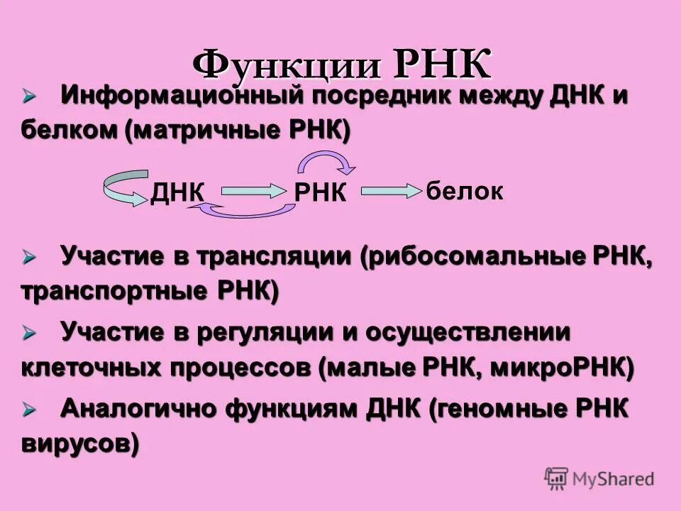 зачем нужны информационные посредники?. информационный посредник. виды информационных посредников. организации посредники. специализированные неспециализированные посредники.