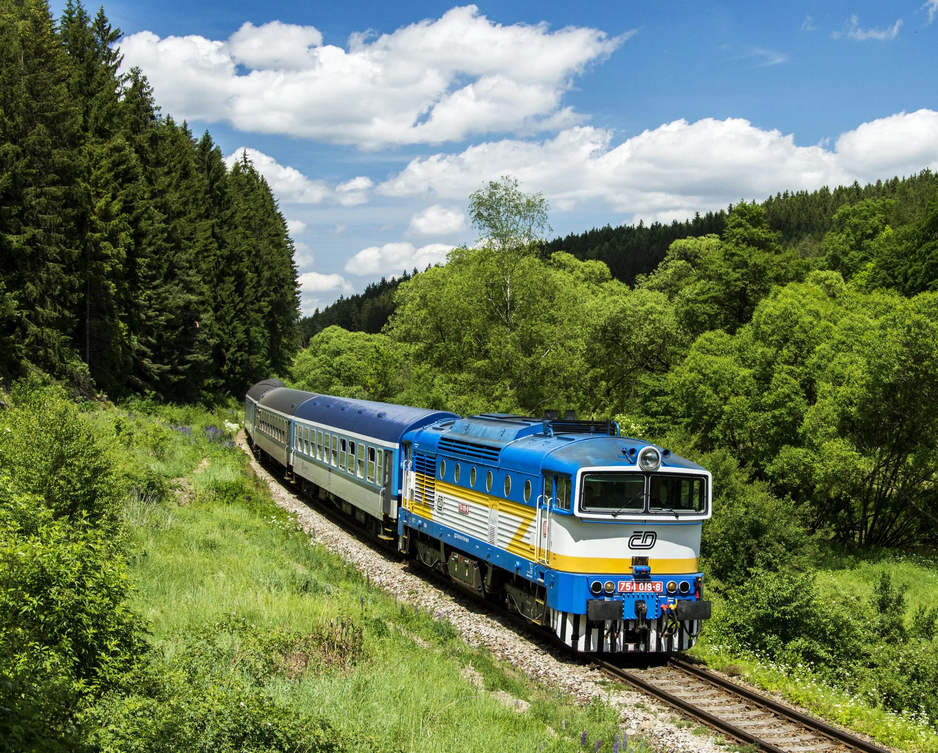Союз железных дорог. Красивый поезд. Поезд в лесу. Железная дорога. Поезд на фоне природы.