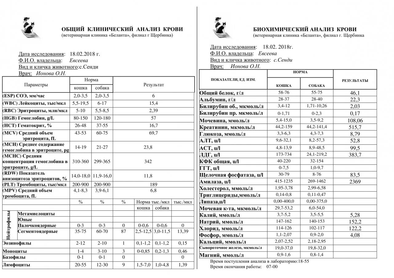 Общий и биохимический анализ крови разница