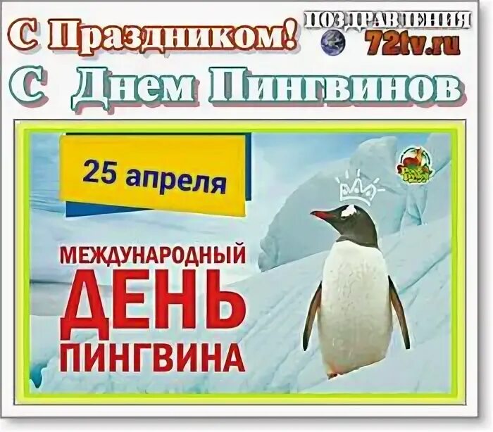 25 апреля 2017. Всемирный день пингвинов. Всемирный день пингвинов 25 апреля. Всемирныйсдень пингвинов. 25 Апреля праздник день пингвина.