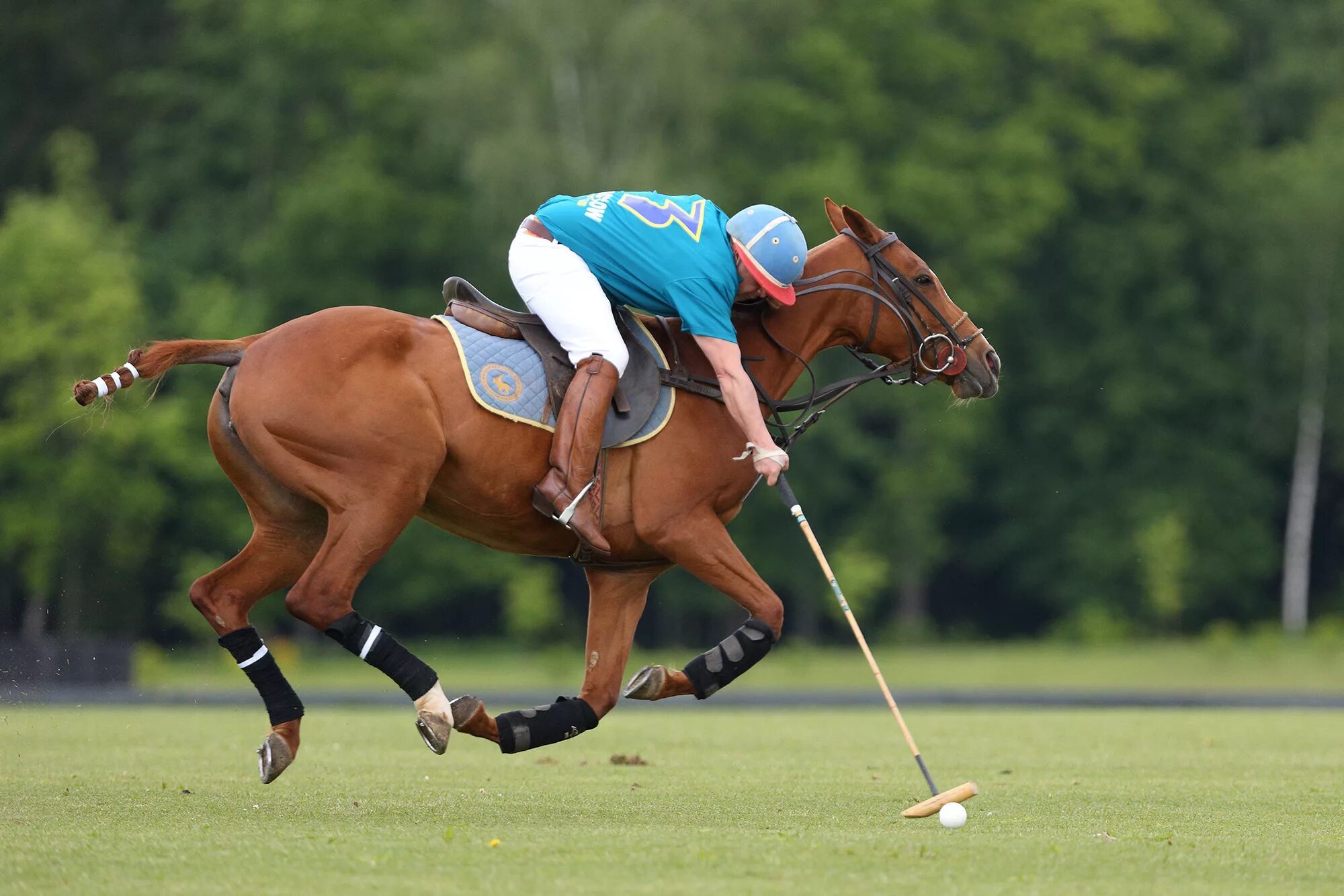 Что такое поло Конное поло. Конное поло Англия. Polo конный спорт. Поло для конного спорта. Кони вид спорта