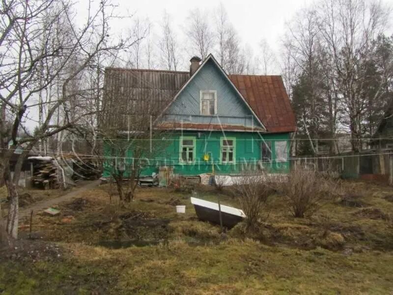 Поселок белоостров улица центральная 4. Снт интурист белоостров. Ул белоостров. Отрадная 17. П белоостров.