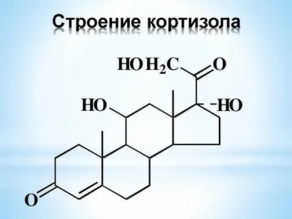 Гидрокортизон гормон