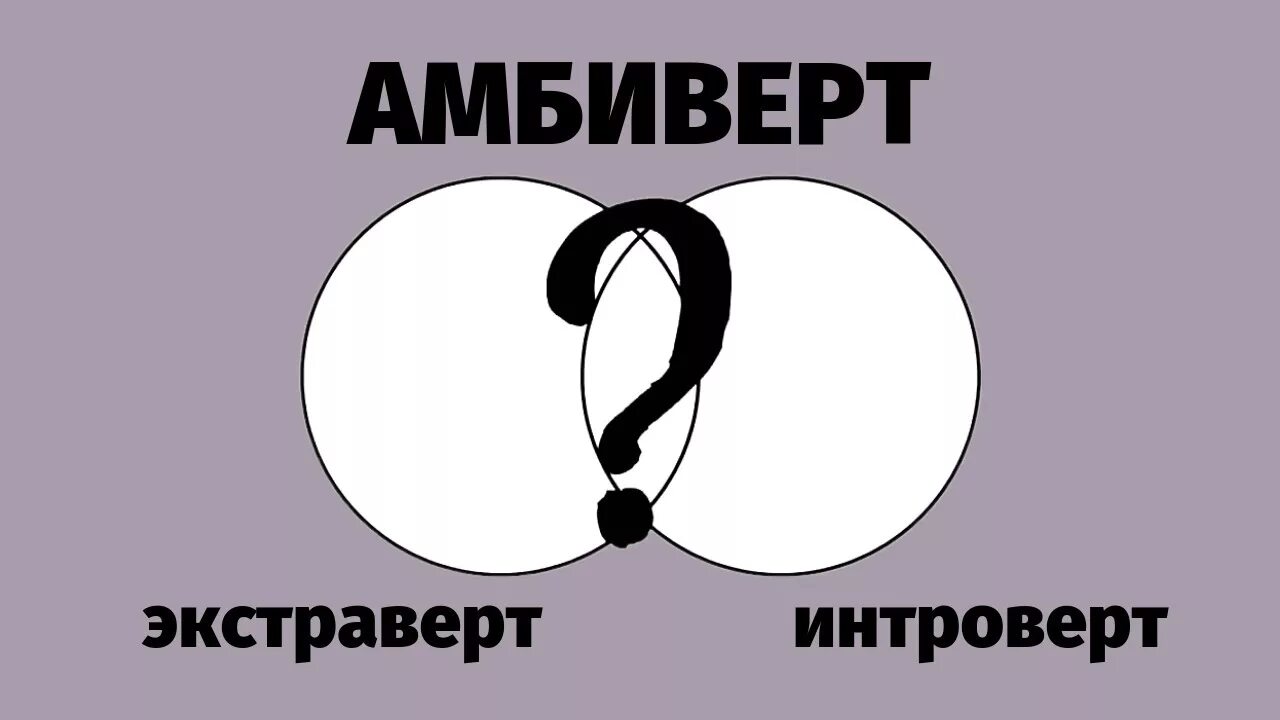 Интроверт и экстраверт и амбиверт. Амбиверт. Интроверт и амбиверт. Я амбиверт.