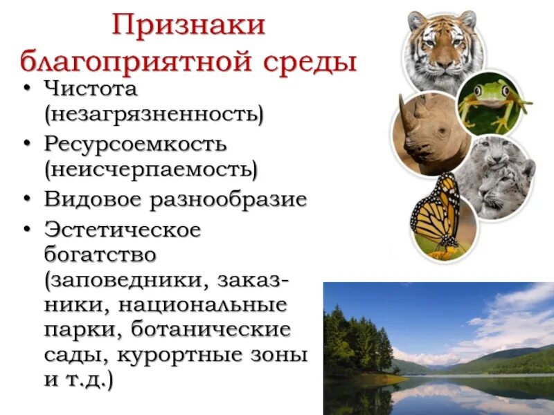 Цели создания благоприятной среды. Признаки благоприятной среды. признаки благоприятной окружающей среды. выберите признаки благоприятной среды. признаки благоприятной среды чистота.