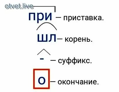 Суффикс в слове приходят