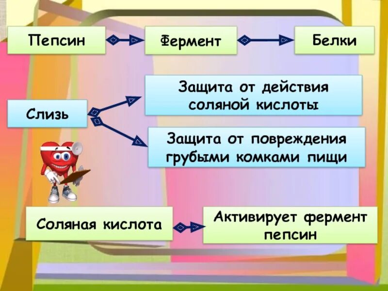 Пепсин расщепляет. Пепсин фермент желудка. Фермент пепсин расщепляет. Пепсин ферментативно переваривает. Пепсин амилаза соляная кислота слизь