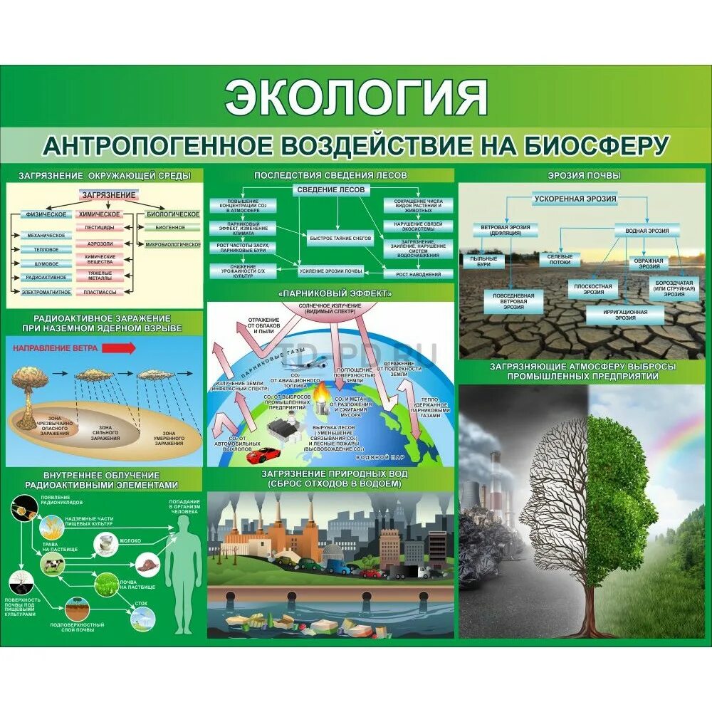 Экология антропогенное воздействие на биосферу. Стенд экология. Информационный стенд экология. Стенд экология антропогенное воздействие на биосферу.