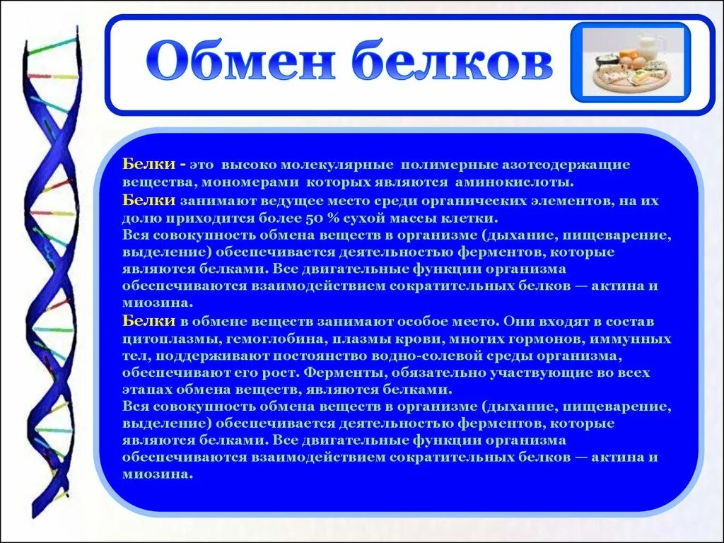 Обмен белков биология. Обмен белков в организме человека функции. Обмен белков функции белков суточная норма. Процессы обсены белков. Белки обмен веществ.