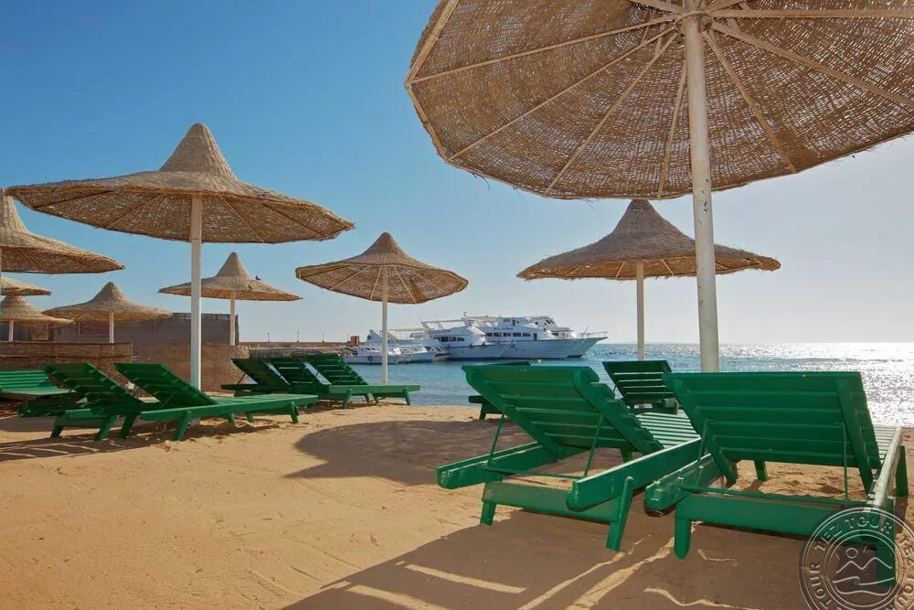 Египет отель алладин 4 хургада. Отель aladdin beach resort 4 хургада. Египет хургада алладин бич. Алладин гостиница в египте. Египет отель алладин 4 хургада.