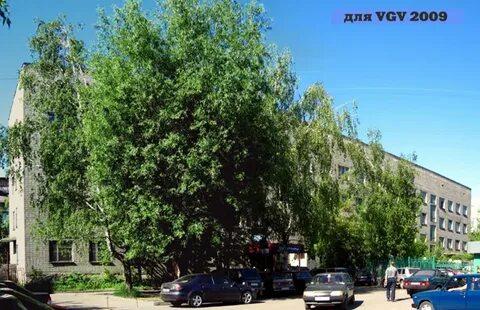Поликлиники гусь хрустального телефоны