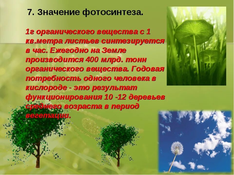 Роль фотосинтеза для человека. Фотосинтез и его роль. Значение фотосинтеза. Значение фотосинтеза 6 класс биология. Роль фотосинтеза на планете.