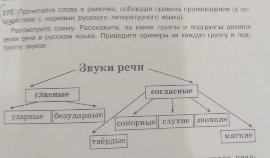 Разделитесь на группы прочитайте текст. На какие группы делятся звуки. На какие группы и подгруппы делятся звуки. На какие группы делятся все звуки речи. На какие группы и подгруппы делятся звуки речи в русском.