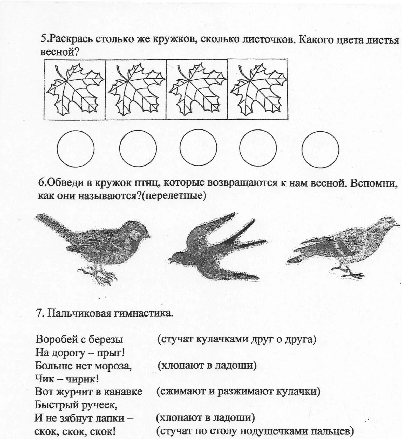 Задания по окружающему миру старшая группа. Задания по развитию речи птицы в подготовительной. Птицы задания для дошкольников. Зимующие птицы задания для дошкольников.