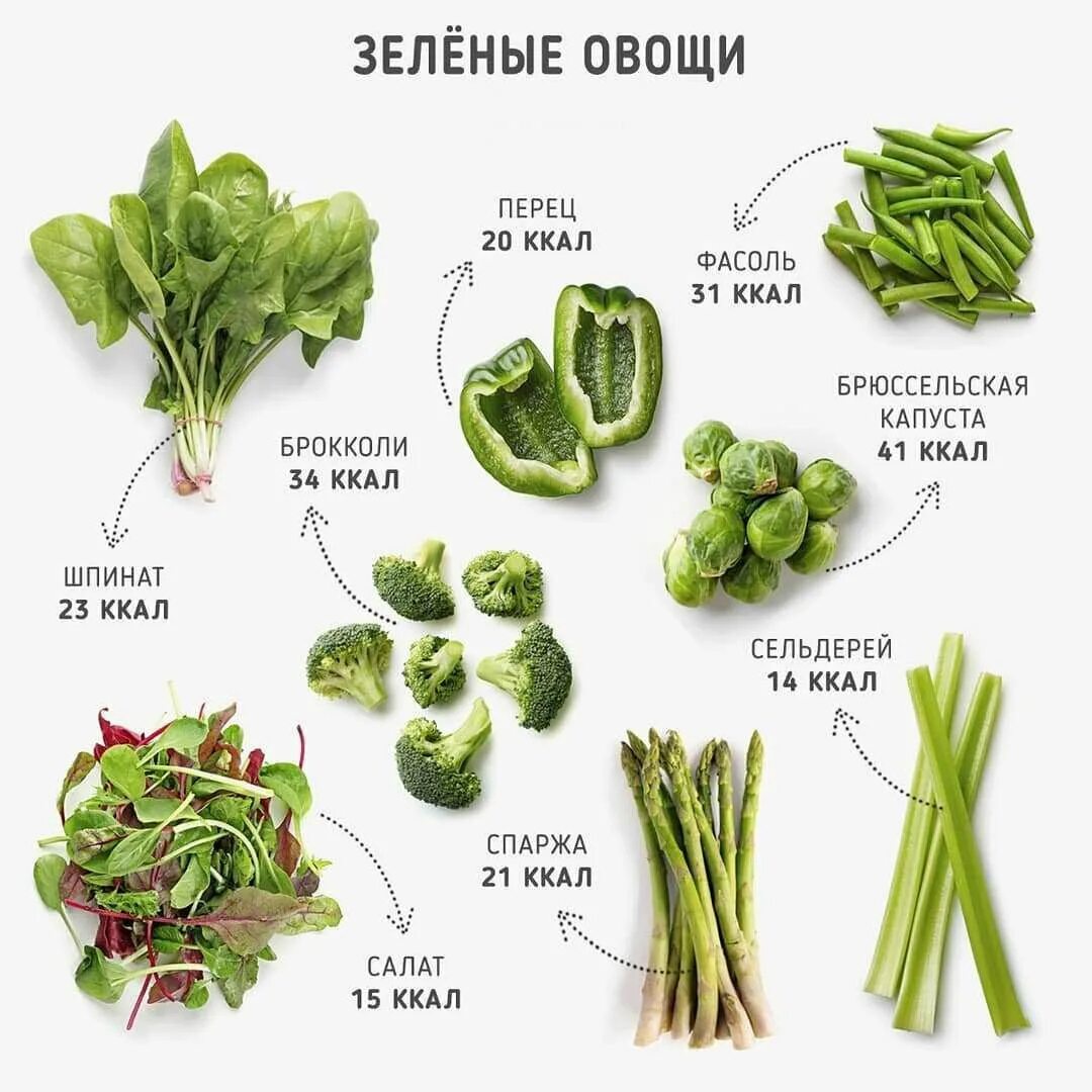 Зелено какая часть. Зелень и листовые овощи. Зеленые овощи. Зелёный овощ название. Полезные листовые овощи.