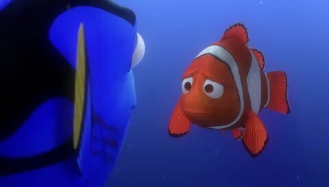 Dory marlin