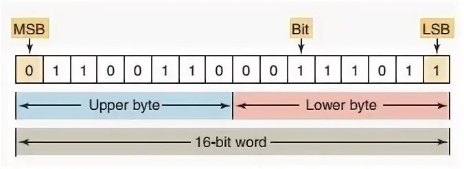 Single byte. Single byte