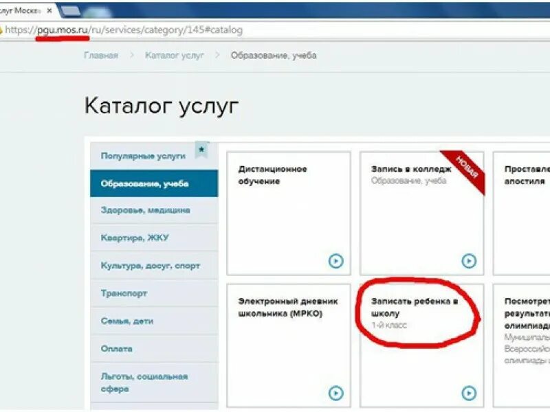 Как записать ребенка на подготовку к школе. Записаться в школу через госуслуги. Записаться на подготовку в школу через госуслуги. Запись на подготовку к школе через госуслуги Москва. Https pgu mos ru ru application