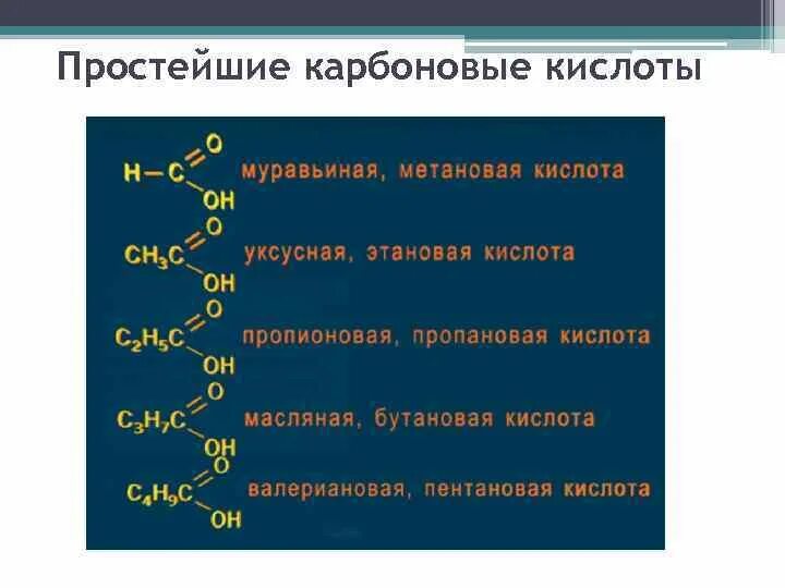 Изомером уксусной кислоты является муравьиная кислота