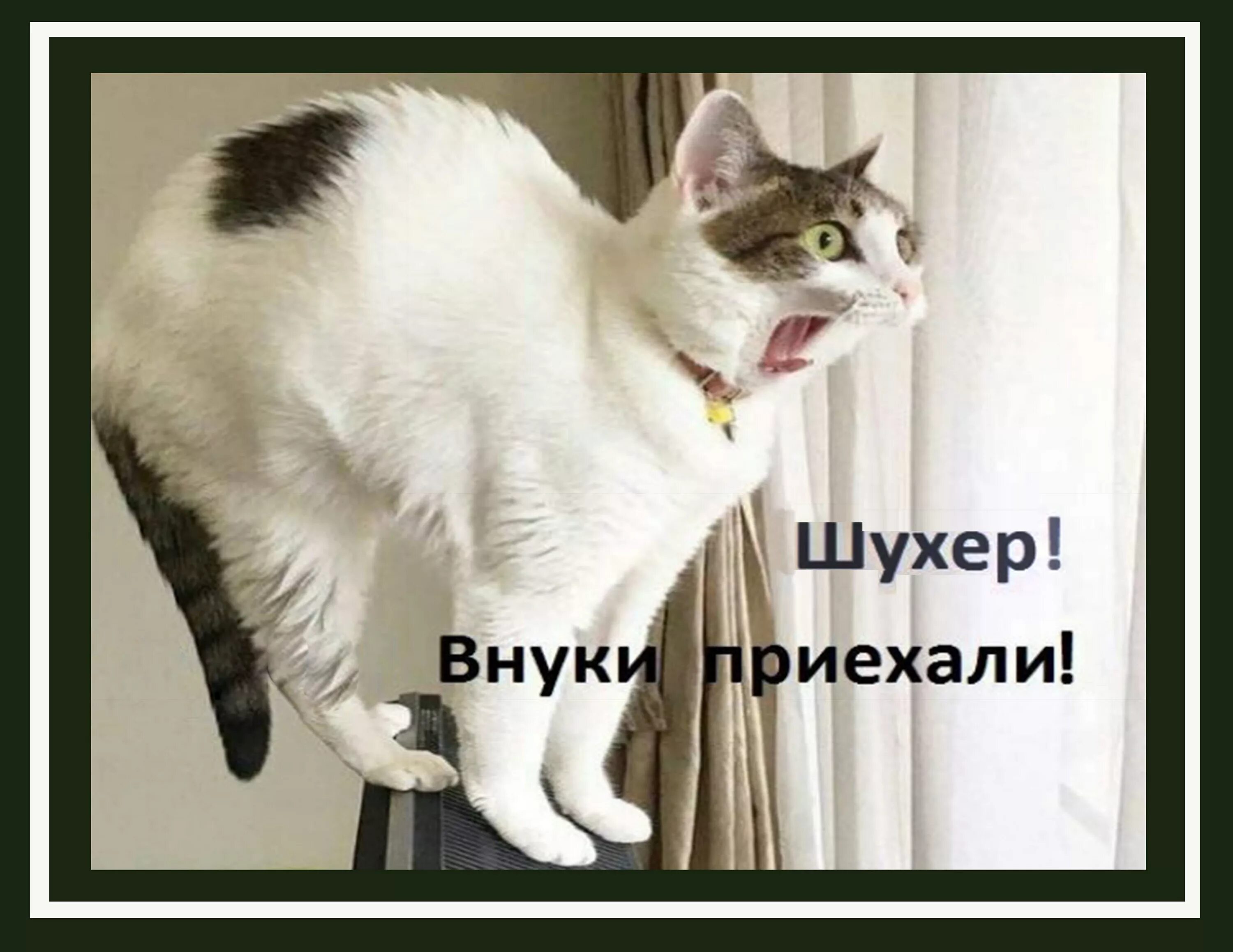 Бабушка приехала в гости. Внуки приехали приколы. Беда объединяет. Внуки приехали к бабушке. Анекдоты про бабушек и внуков.