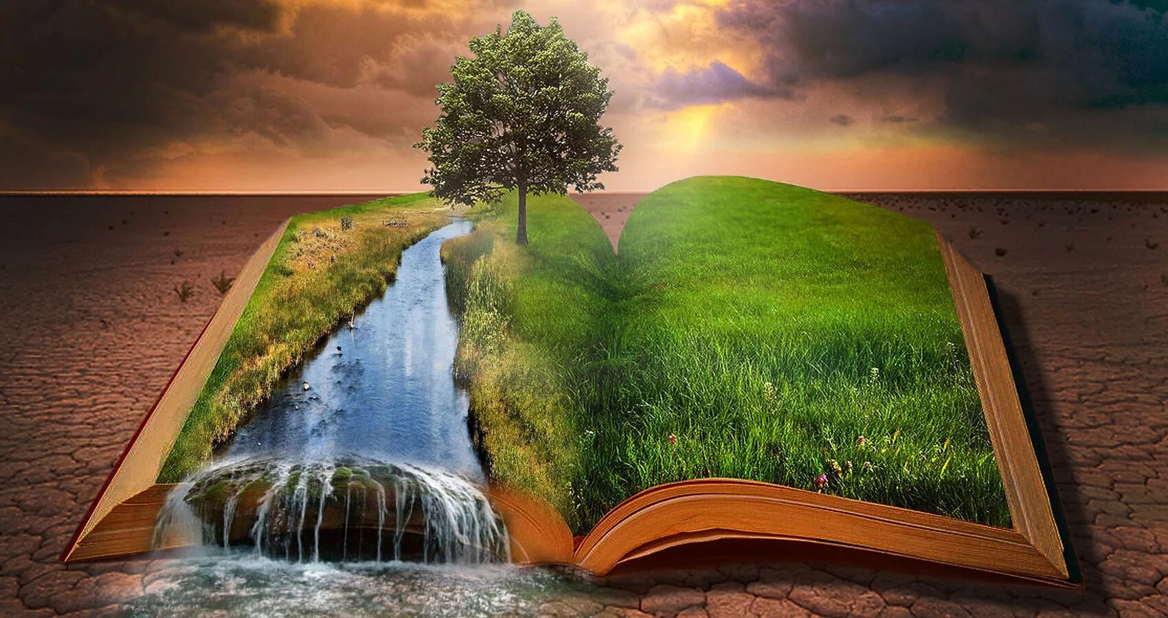 Место книги в жизни людей. Река жизни. Река на ж. Река мудрости. Мудрость жизни фон.